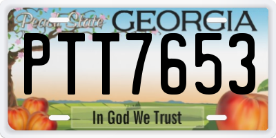 GA license plate PTT7653