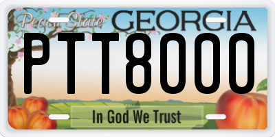 GA license plate PTT8000