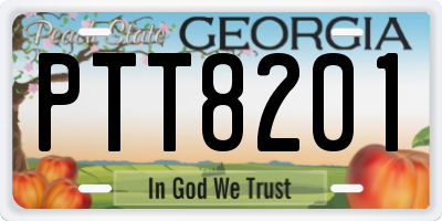 GA license plate PTT8201