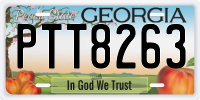 GA license plate PTT8263
