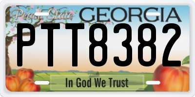 GA license plate PTT8382