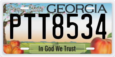 GA license plate PTT8534