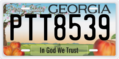 GA license plate PTT8539