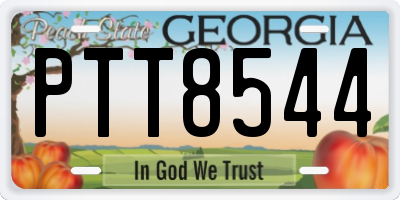 GA license plate PTT8544
