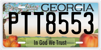 GA license plate PTT8553