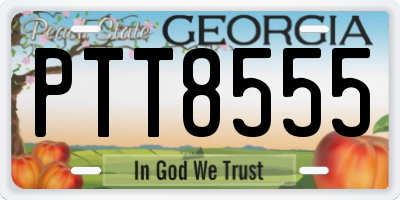 GA license plate PTT8555