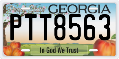 GA license plate PTT8563