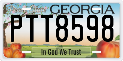 GA license plate PTT8598