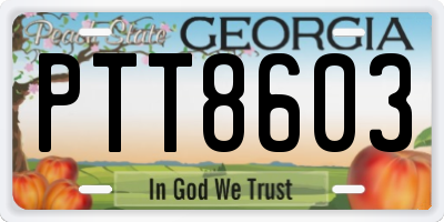 GA license plate PTT8603