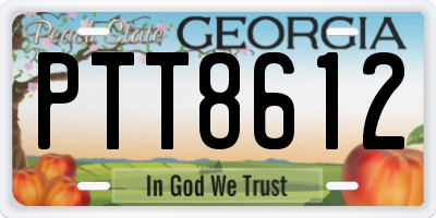 GA license plate PTT8612