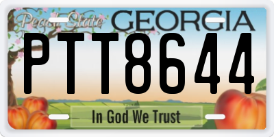 GA license plate PTT8644