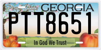 GA license plate PTT8651