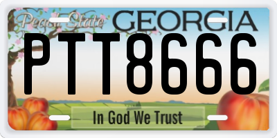 GA license plate PTT8666