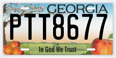 GA license plate PTT8677