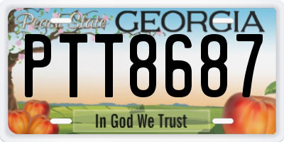 GA license plate PTT8687