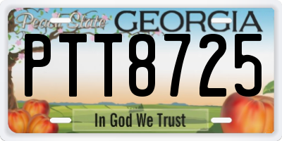 GA license plate PTT8725