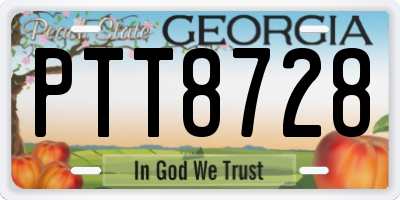 GA license plate PTT8728