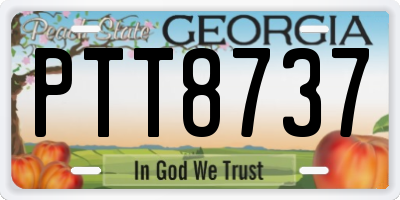GA license plate PTT8737