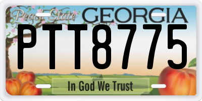 GA license plate PTT8775