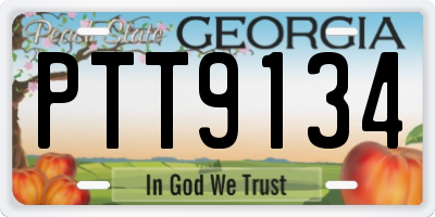 GA license plate PTT9134