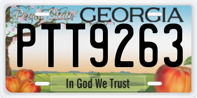GA license plate PTT9263