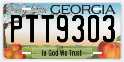 GA license plate PTT9303