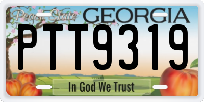GA license plate PTT9319