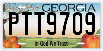 GA license plate PTT9709