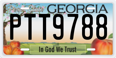 GA license plate PTT9788