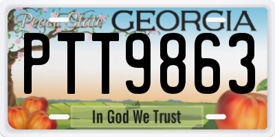 GA license plate PTT9863