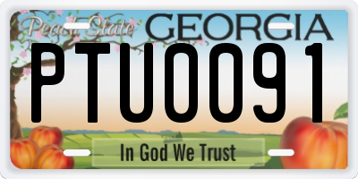 GA license plate PTU0091