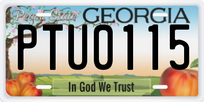 GA license plate PTU0115