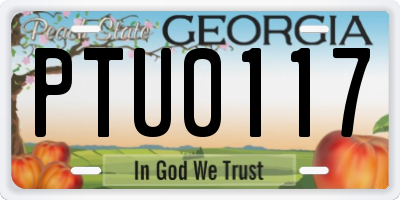 GA license plate PTU0117