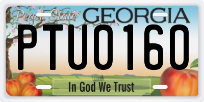 GA license plate PTU0160