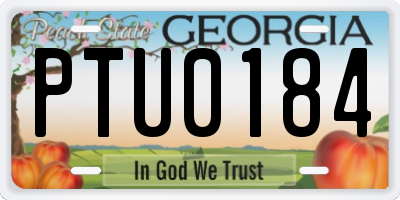 GA license plate PTU0184