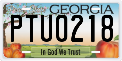 GA license plate PTU0218