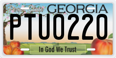 GA license plate PTU0220