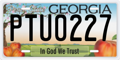 GA license plate PTU0227