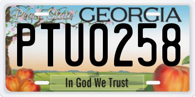 GA license plate PTU0258