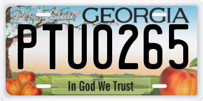 GA license plate PTU0265
