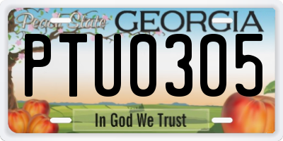 GA license plate PTU0305