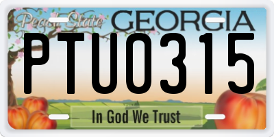 GA license plate PTU0315