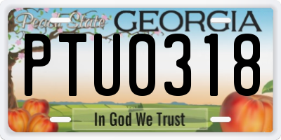 GA license plate PTU0318