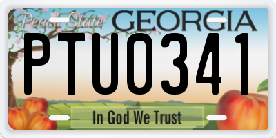 GA license plate PTU0341