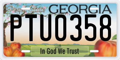 GA license plate PTU0358