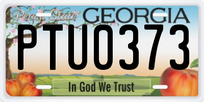 GA license plate PTU0373