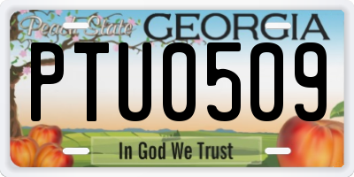 GA license plate PTU0509