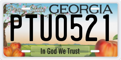 GA license plate PTU0521