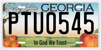 GA license plate PTU0545