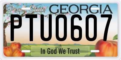 GA license plate PTU0607